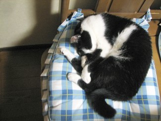 ママの場所 ママの場所